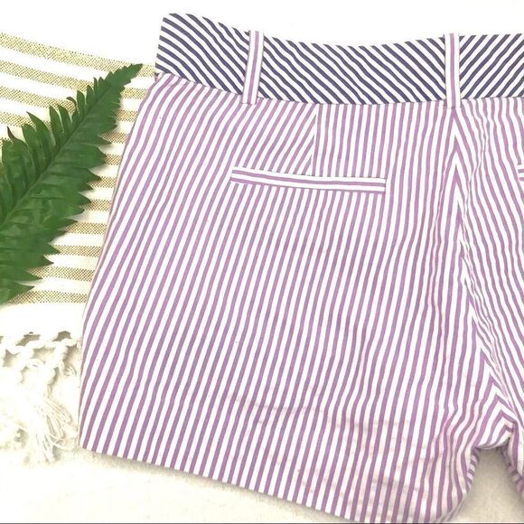J. Crew Navy and Purple Contrast Pinstripe Shorts - Picture 6 of 9